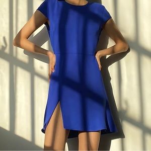 Babaton Hampton Mini Dress (Aritizia)